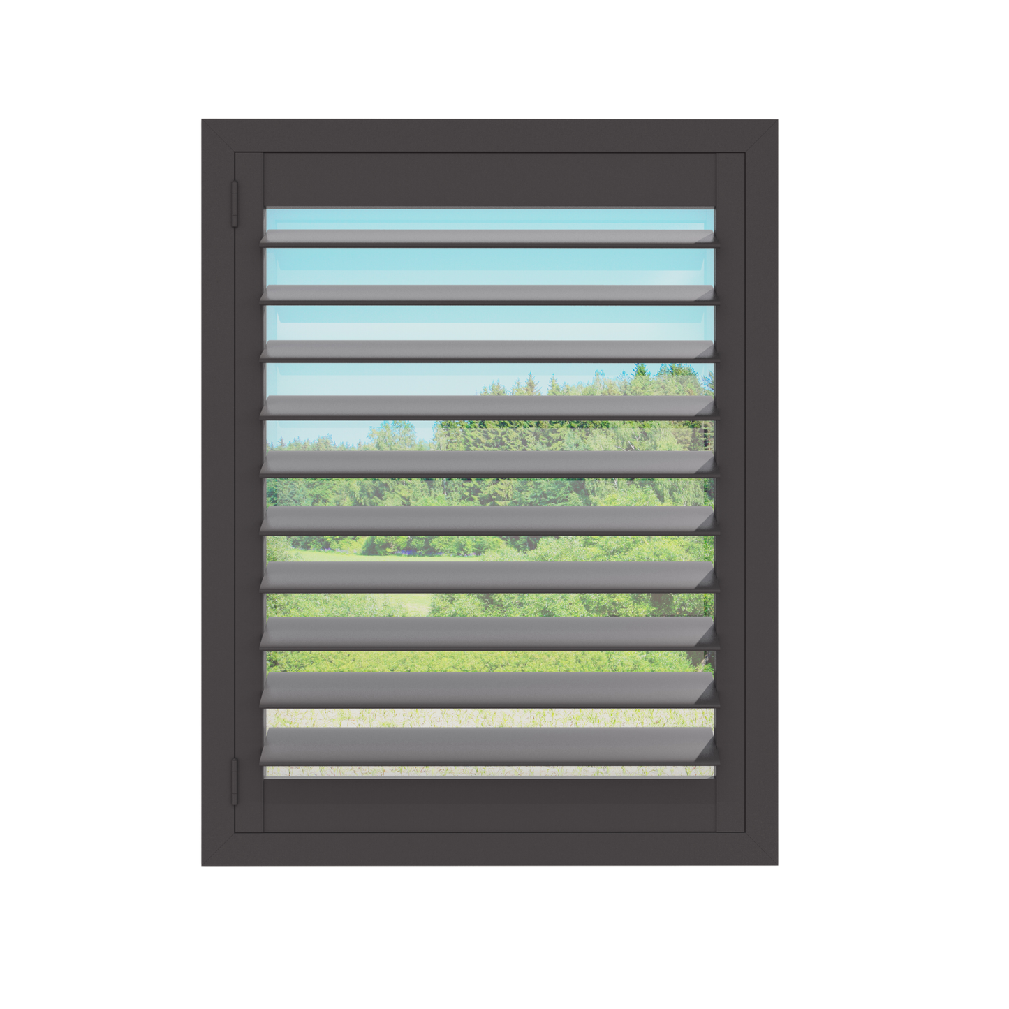Painted Wood Plantation Shutter