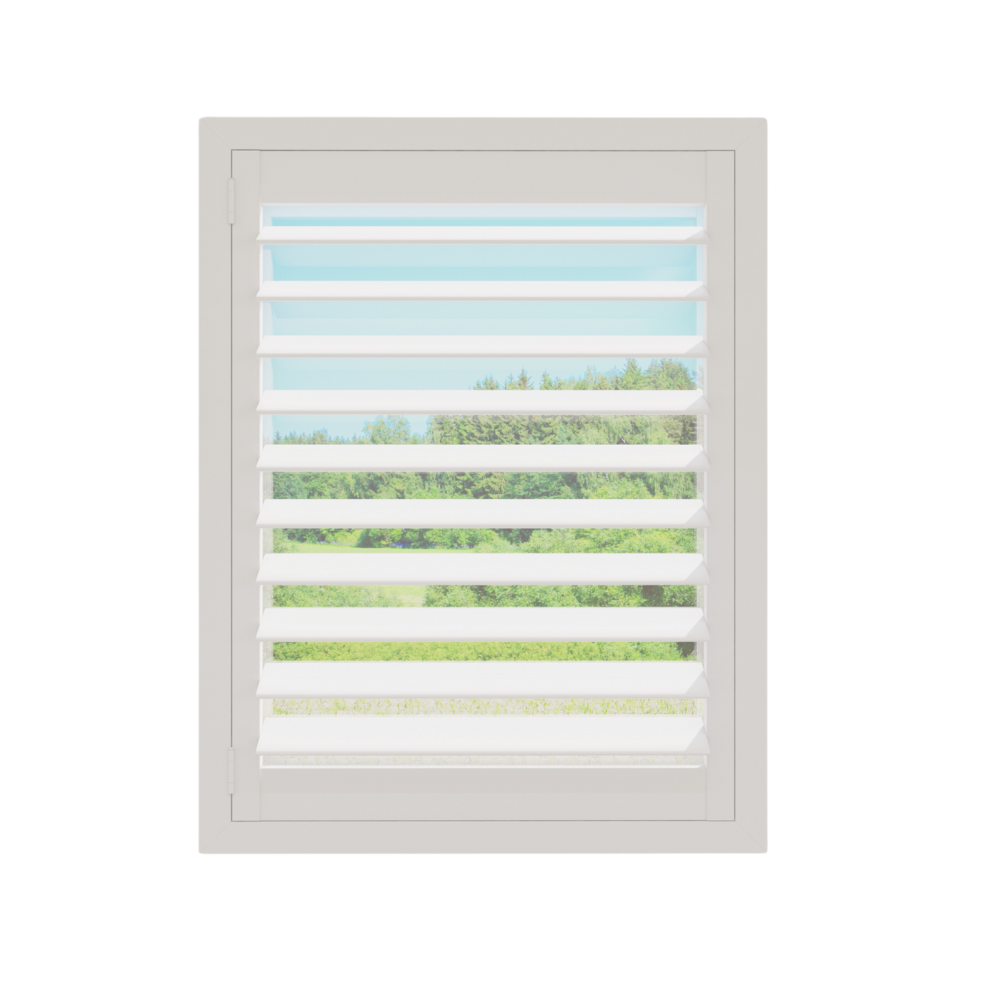Painted Wood Plantation Shutter