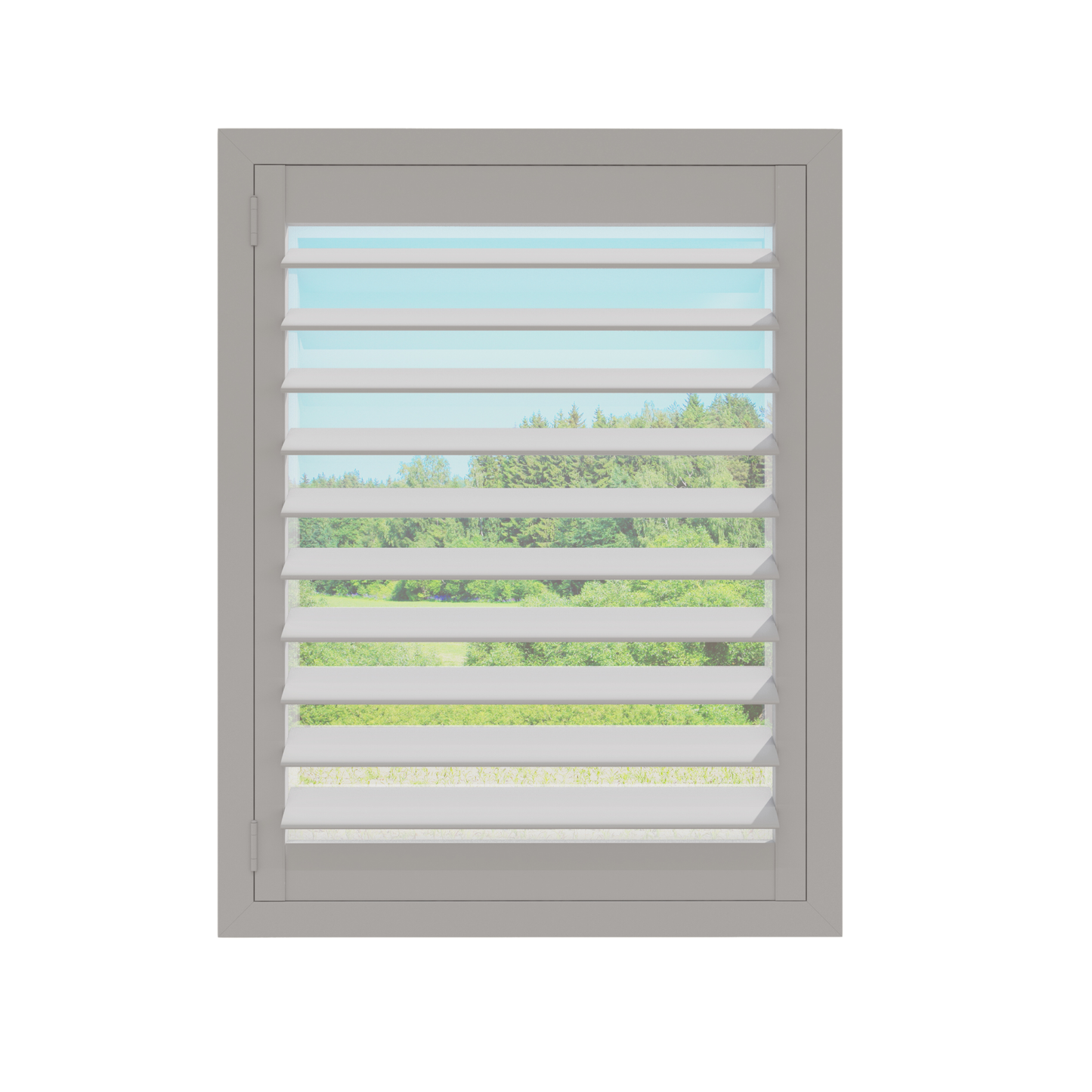 Painted Wood Plantation Shutter