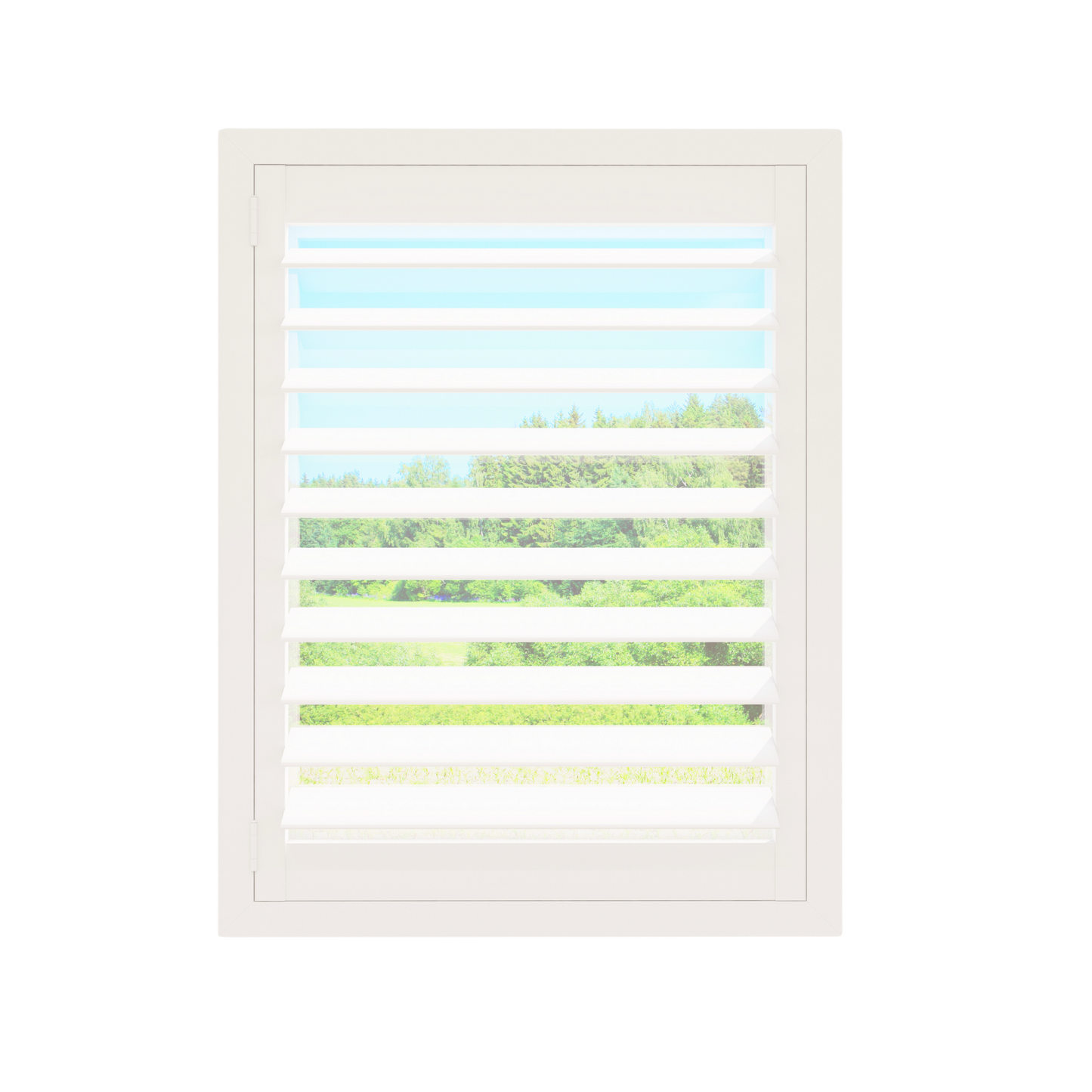 Painted Wood Plantation Shutter