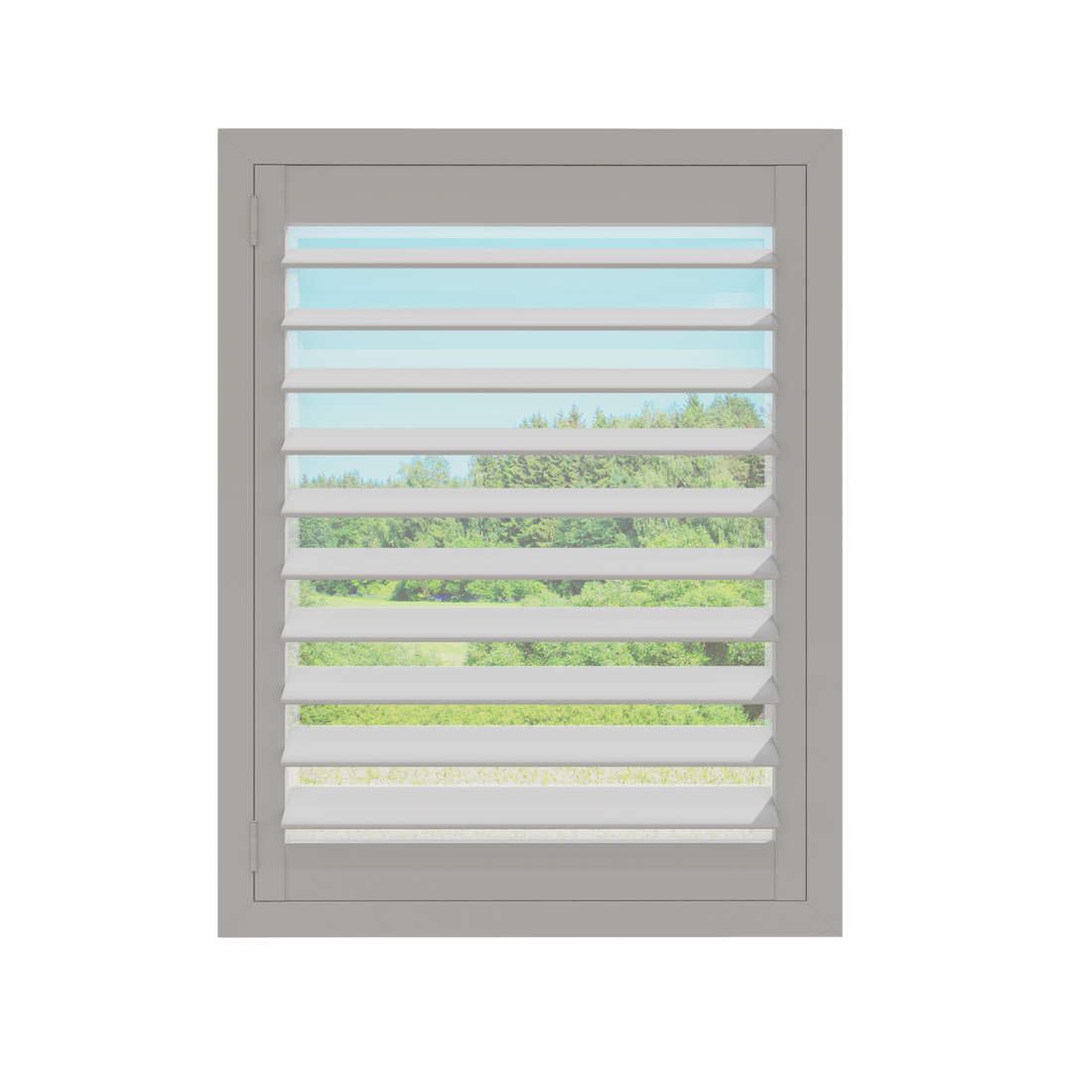 Painted Wood Plantation Shutter