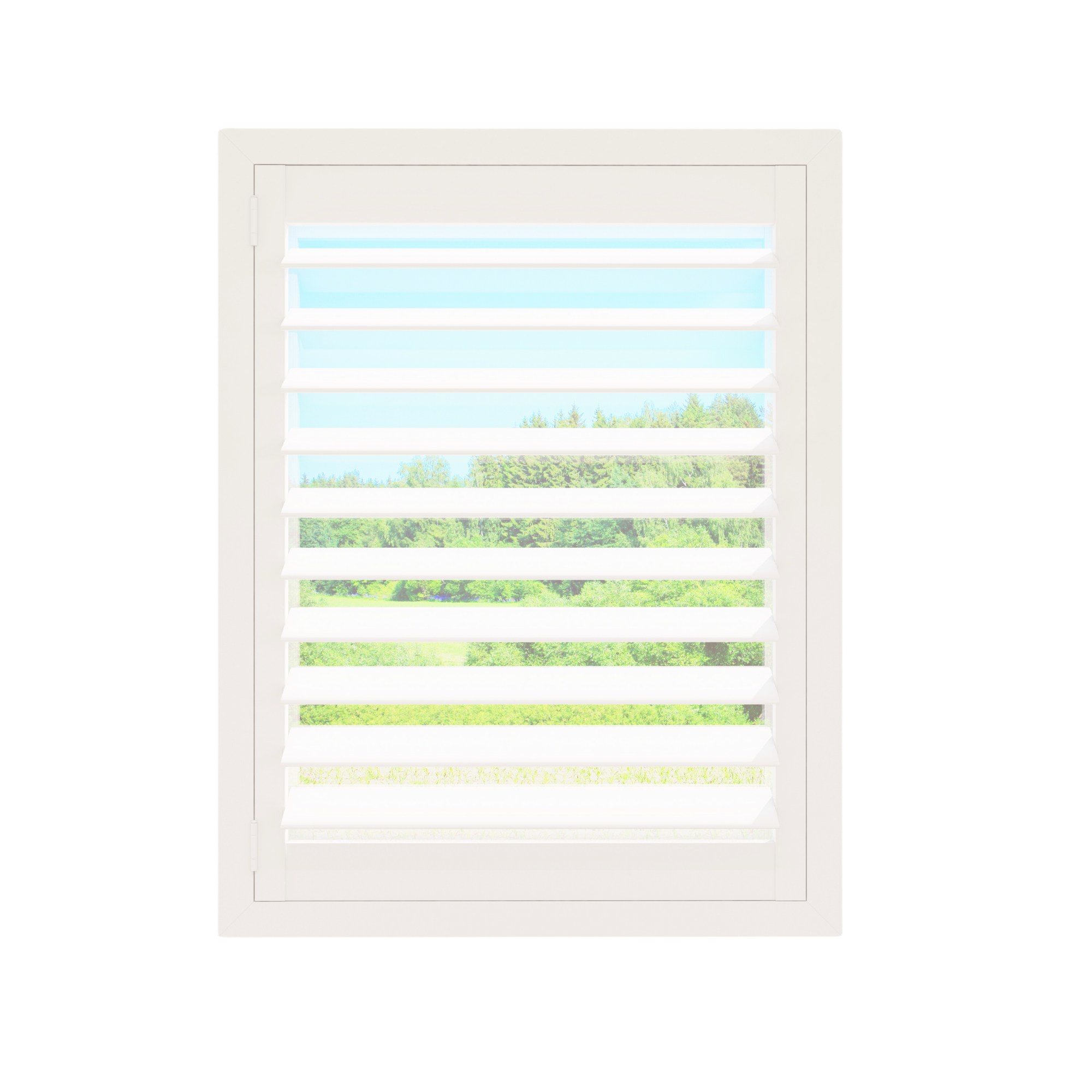 White plantation shutter louvers, angled open